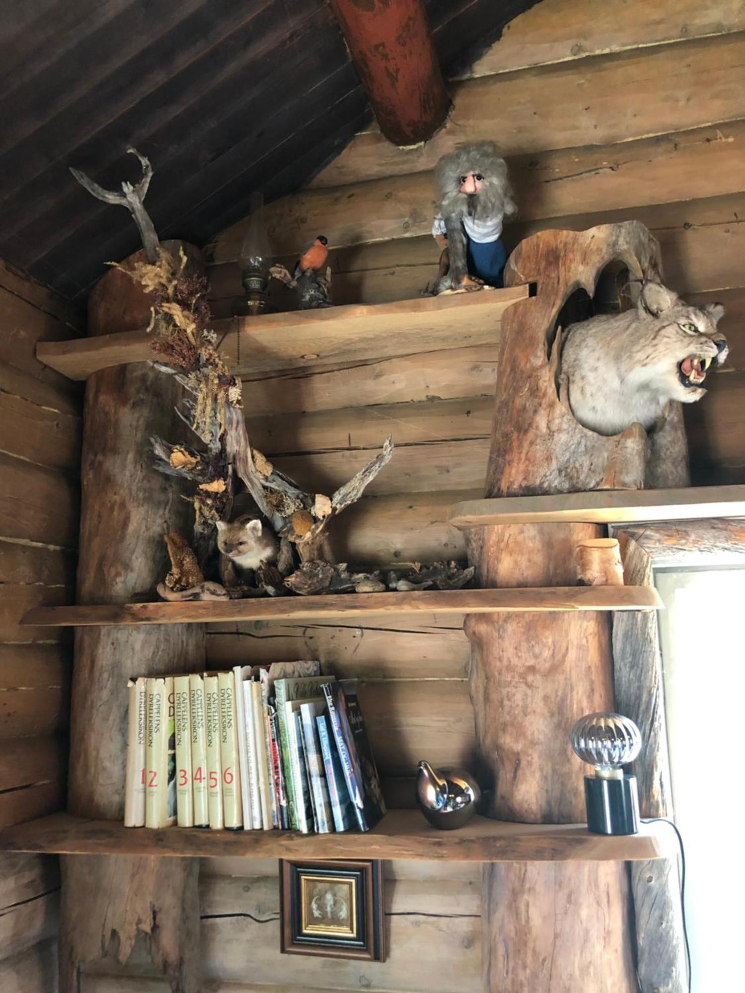 Pasvik Taiga Hotel Skogfoss ภายนอก รูปภาพ